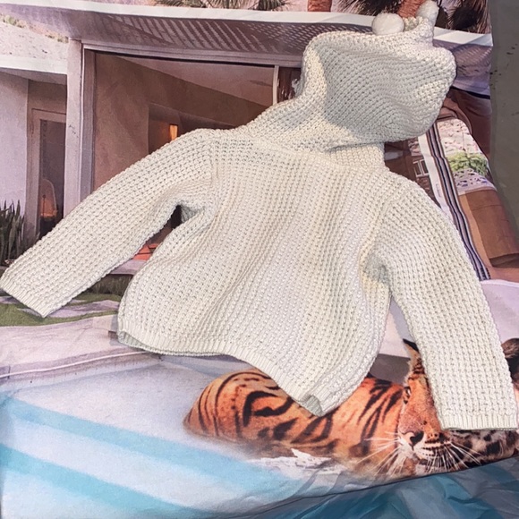 Carters Hooded Knit Sweater 🌵9 Months - Picture 3 of 3